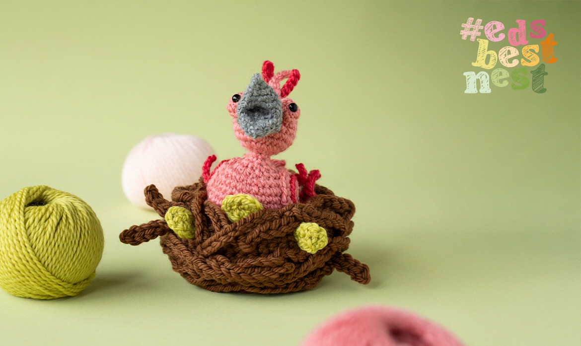 Summer photography competition crochet a mini bird and win
